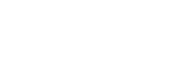 wise logo