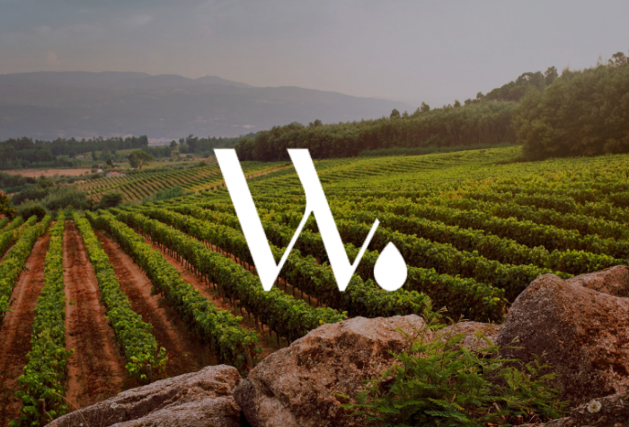 Wine tourism